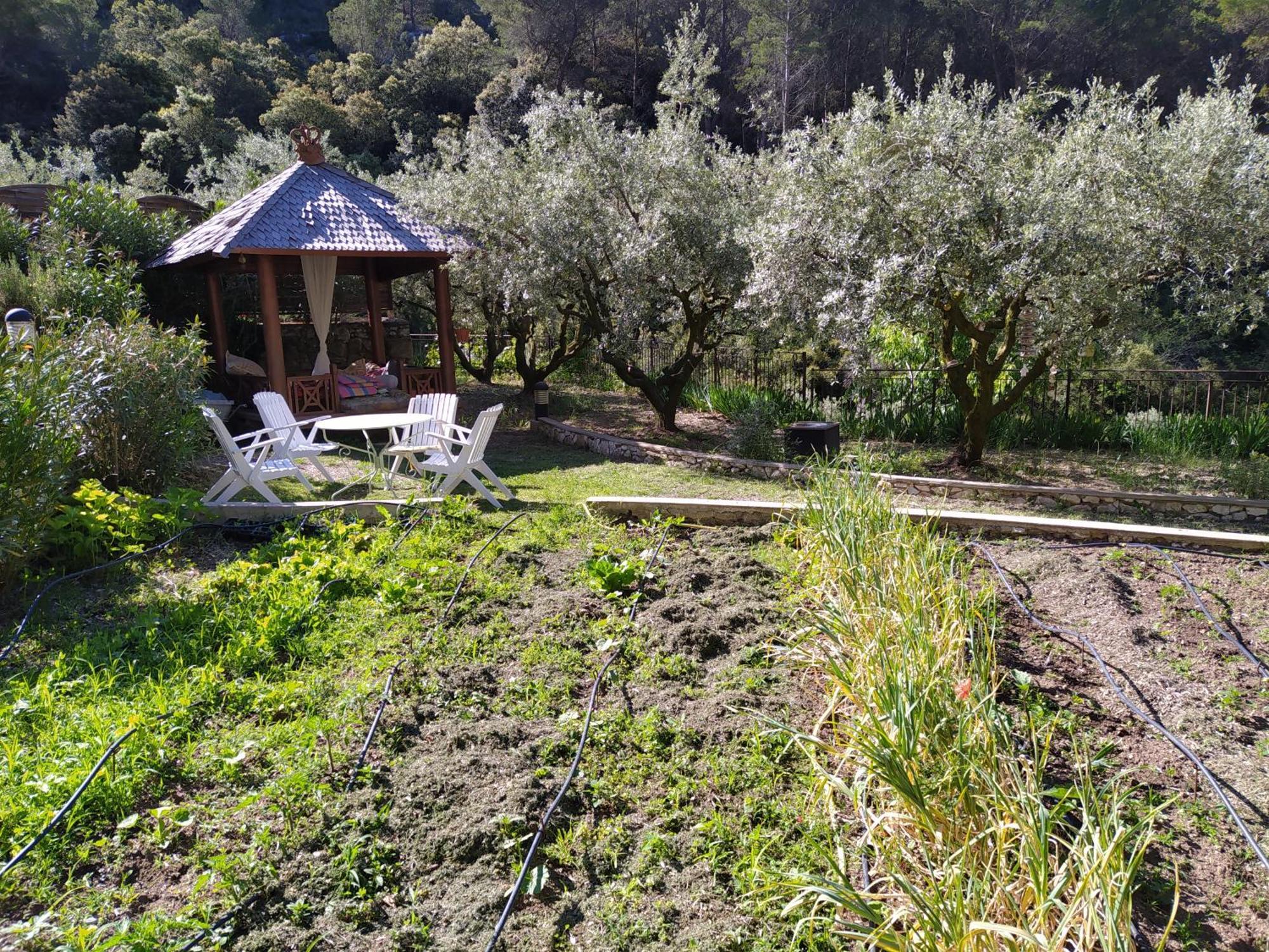 Le Frangipanier Hotel Le Barroux Quarto foto